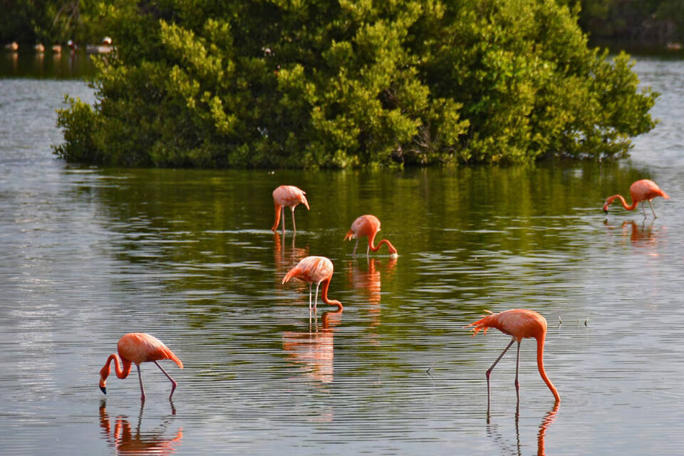 Located by the sea and nature reserve